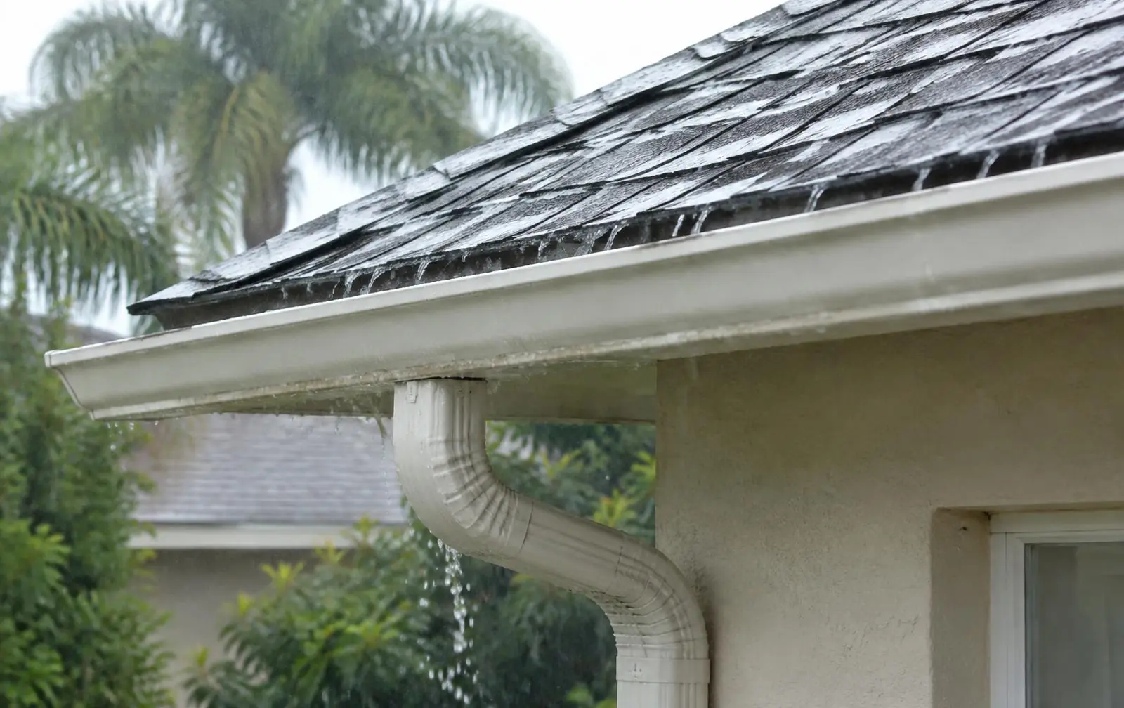 Rain running off a shingle roof into a white gutter and downspout on a Florida home